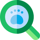 Reprint Lost PAN Card